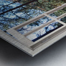 Sandy River Bank Afternoon Walk Metal print