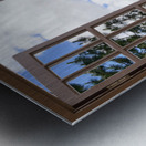 Pine Trees and Grassy Hills Metal print