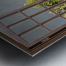 Summer Rainbow Over Trees Metal print