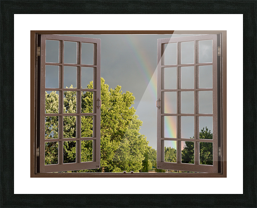 Summer Rainbow Over Trees Picture Frame print