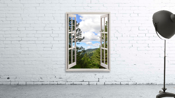 Pine Trees and Grassy Hills Wall Preview