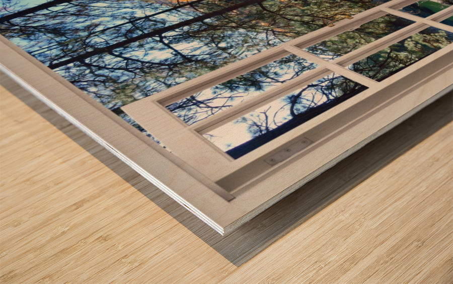 Sandy River Bank Afternoon Walk Wood print