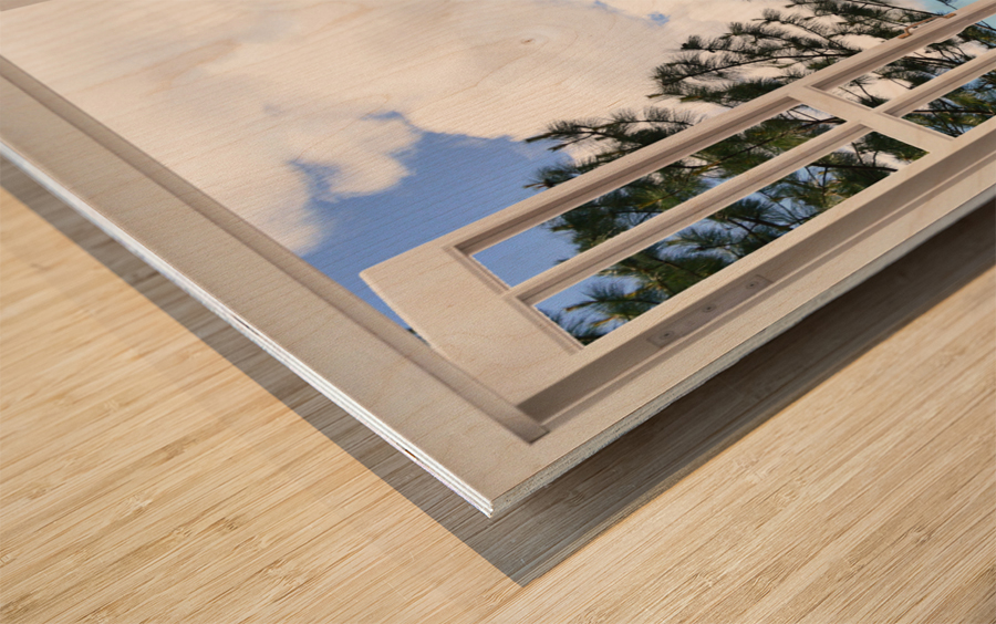 Pine Trees and Grassy Hills Wood print