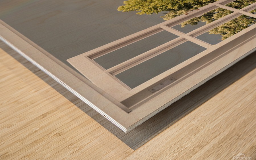 Summer Rainbow Over Trees Wood print