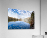 Spring To Life Acrylic Print