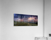 Isolated Acrylic Print