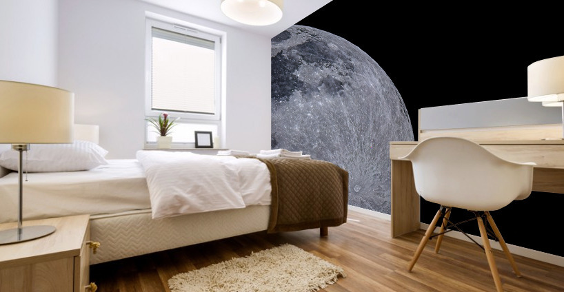Moon Crossing Mural print