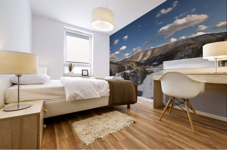 Winter At Raystown Dam Mural print