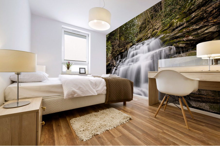 Rainbow Falls Mural print