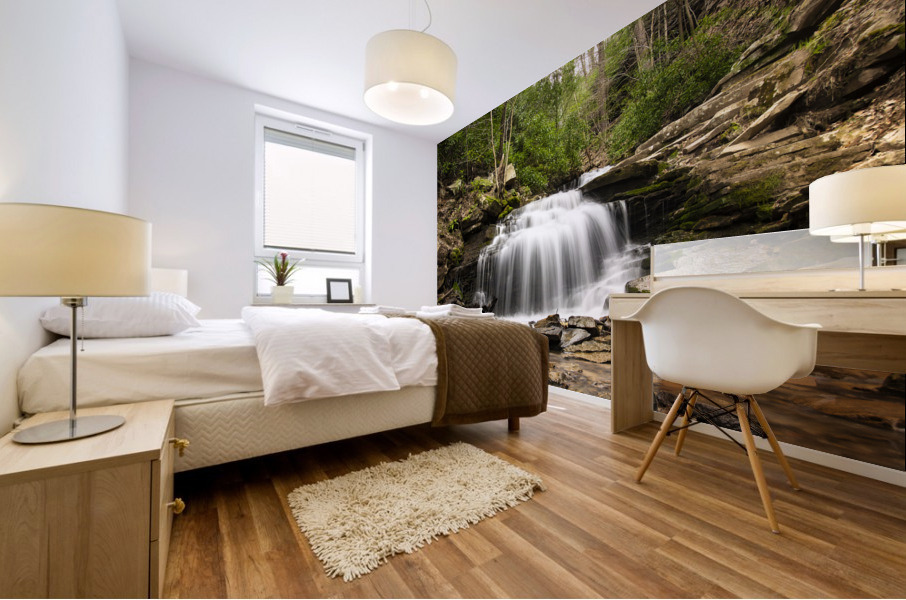 Rainbow Falls Mural print