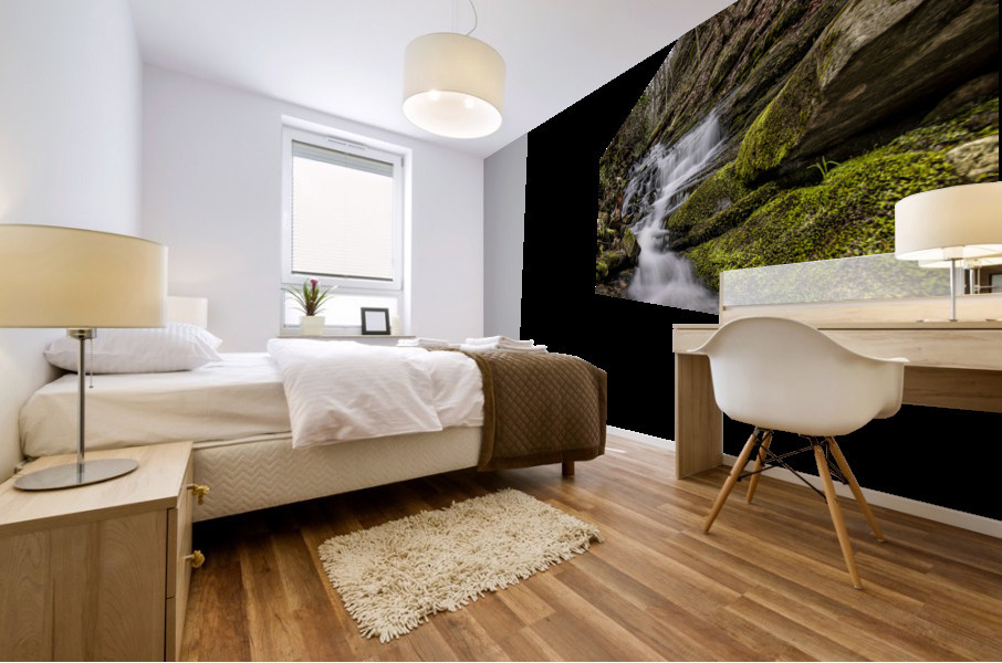 Rainbow Falls Mural print
