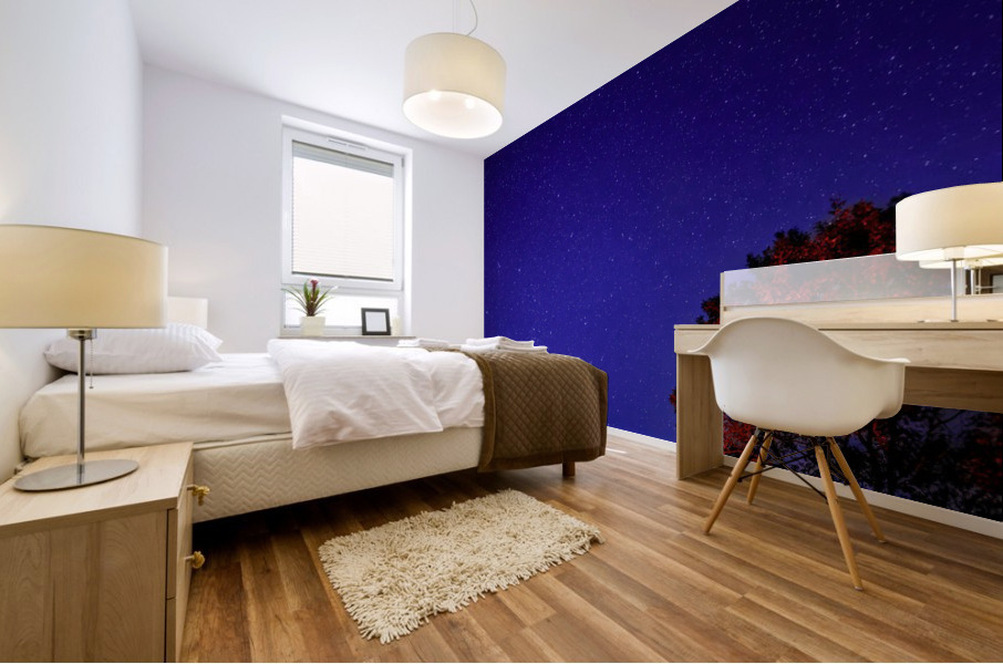 Warm Autumn Night Mural print