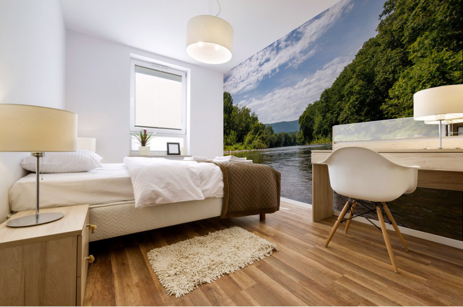 Floating Mural print