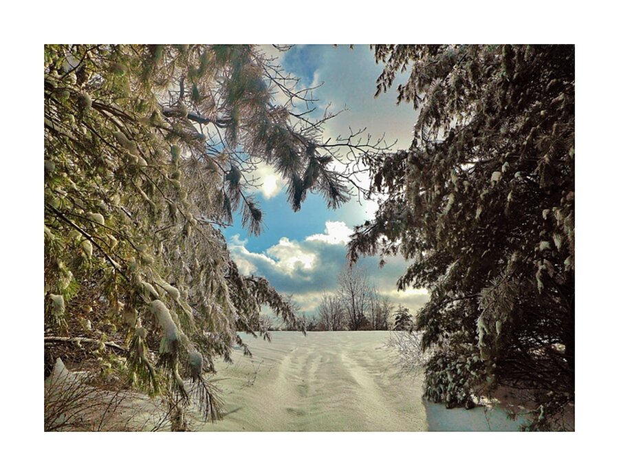 Winters Bliss Picture Frame print