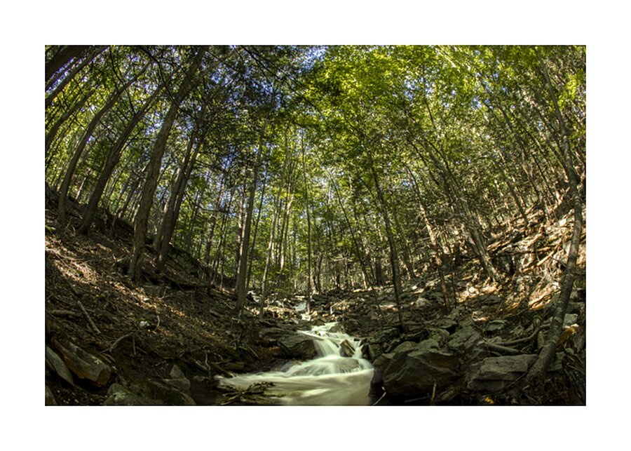 Ghost Creek Picture Frame print