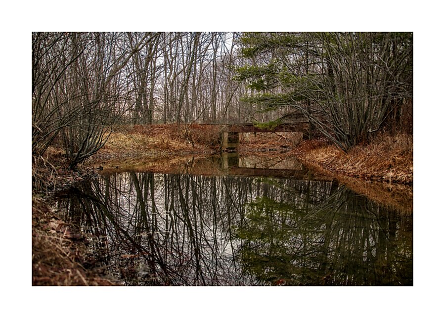 The Trestle Picture Frame print