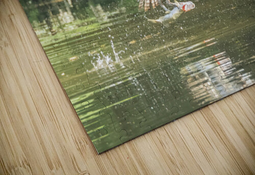 Osprey 0C5A6653  Touch Of Frank Photography puzzle