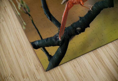 Crimson Watcher Touch Of Frank Photography puzzle