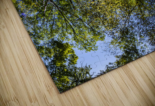 Gazed Touch Of Frank Photography puzzle