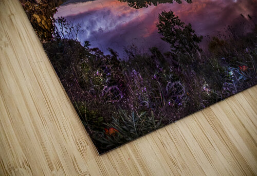 Morning Glory Touch Of Frank Photography puzzle