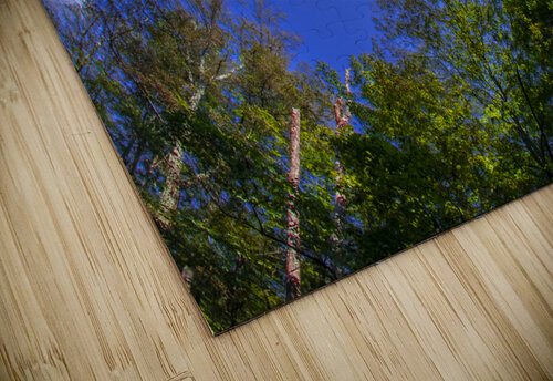 Spaced Out Touch Of Frank Photography puzzle