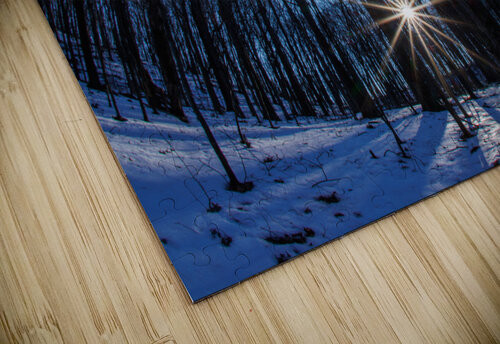 Warriors Star Touch Of Frank Photography puzzle