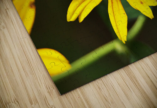 IMG 3619 Touch Of Frank Photography puzzle