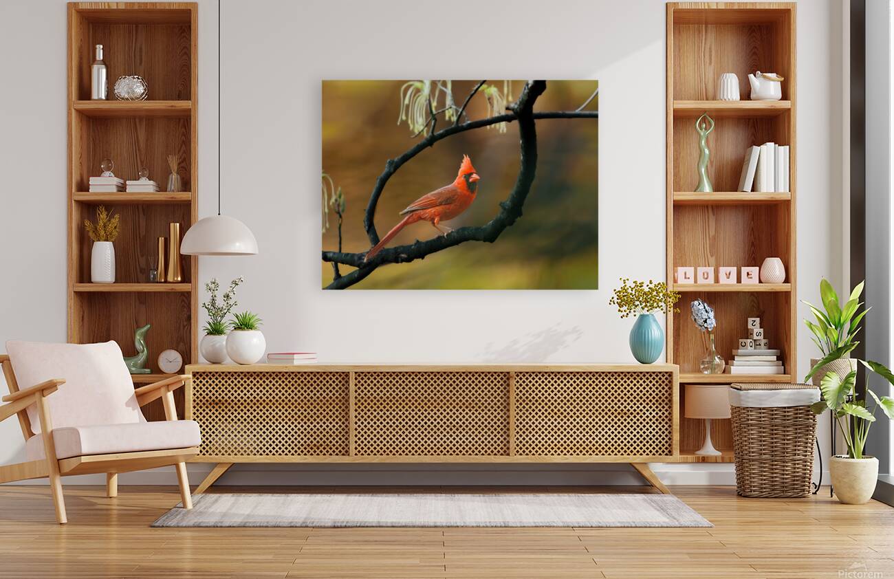 Crimson Watcher Reproduction