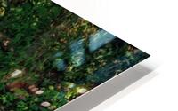 Gliding Between Reflections HD Metal print