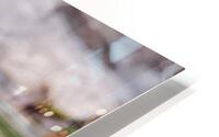 “Guided by Still Waters” HD Metal print