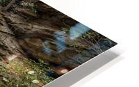 Rainbow Falls HD Metal print