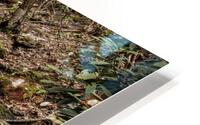 Rainbow Falls HD Metal print