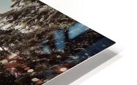 Winters Bliss HD Metal print