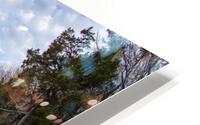 Spring To Life HD Metal print