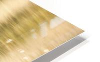  Golden Hour HD Metal print