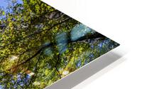 Gazed HD Metal print