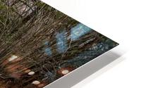 The Trestle HD Metal print