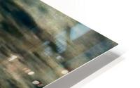 IMG 4509  HD Metal print