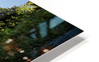IMG 2498 HD Metal print