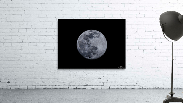 Moon Crossing Wall Preview