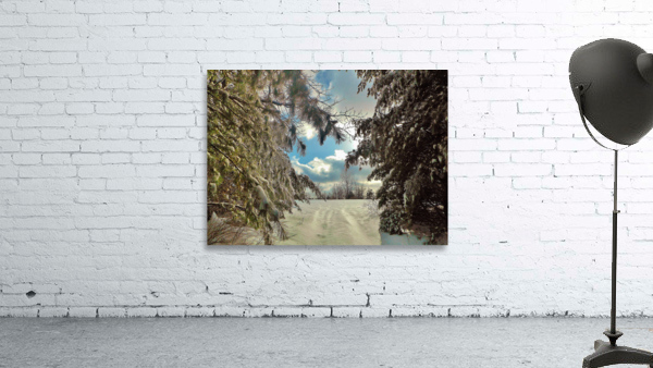 Winters Bliss Wall Preview