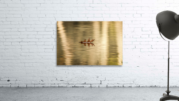  Golden Hour Wall Preview