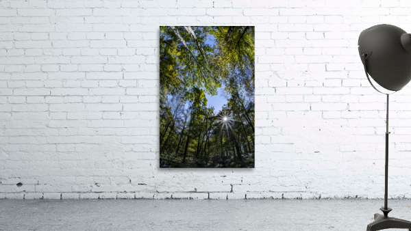 Gazed Wall Preview