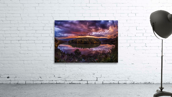 Morning Glory Wall Preview