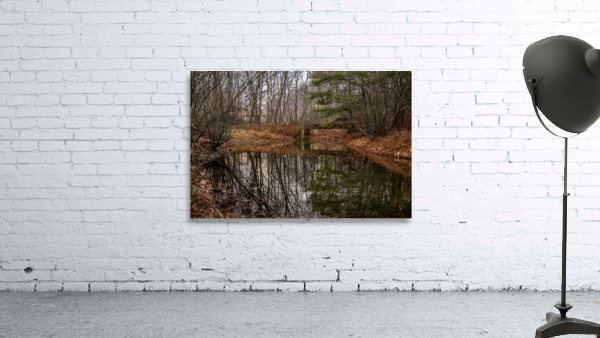 The Trestle Wall Preview