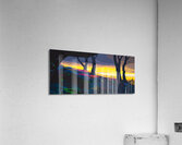 Rainbow Forest Sunset Acrylic Print