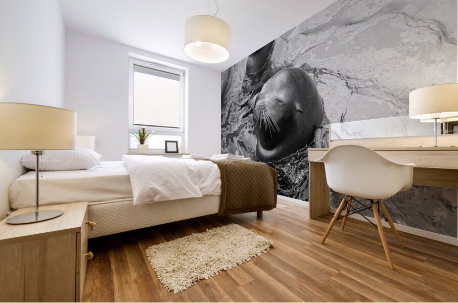 Blissed Out Sammy Seal Mural print
