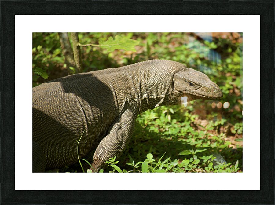 There Be Dragons Picture Frame print