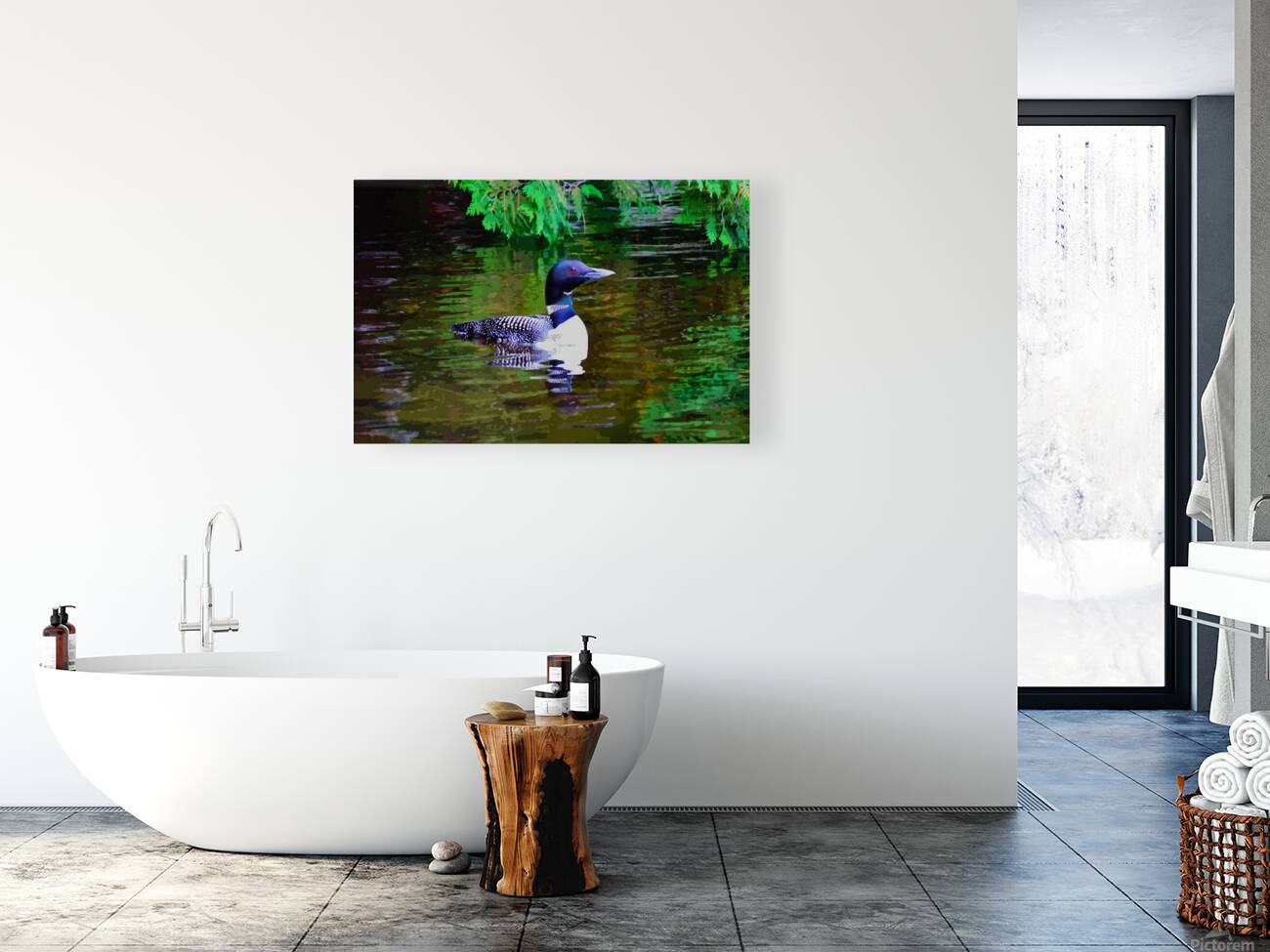 Red-Eyed Loon Reproduction