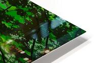 Misty Forest Green HD Metal print